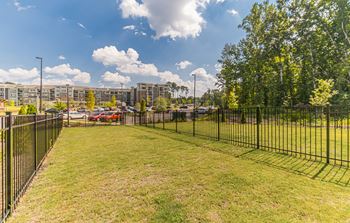 Dominium-Preserve at Peachtree Shoals-Dog Run